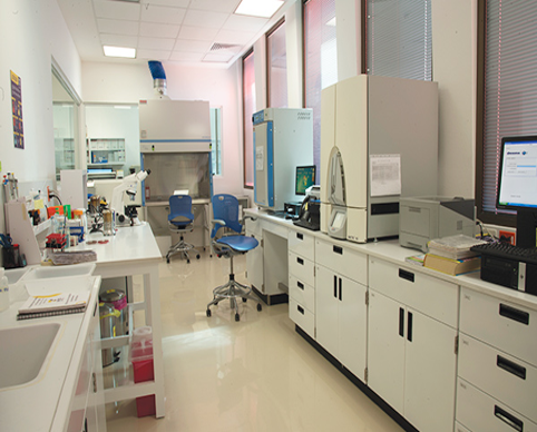 lab 1